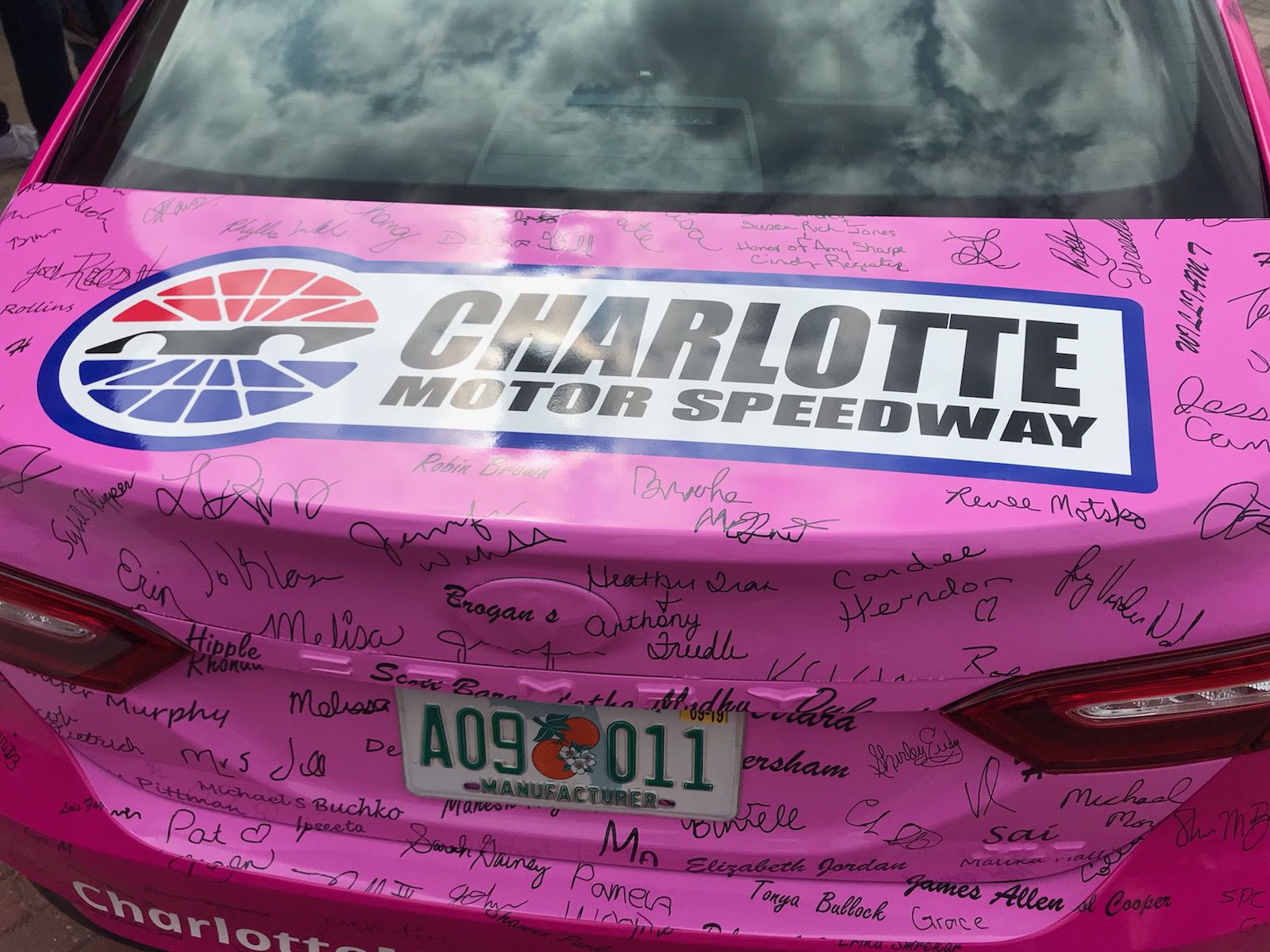 Paint Pit Wall Pink